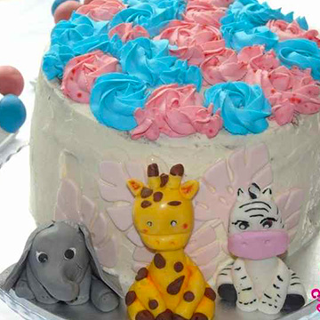 gateau-reveal-gender-verynice-vimy